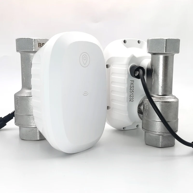 Home Assistant Tuya - Katup Air WiFi Kontrol Cerdas Pengukur