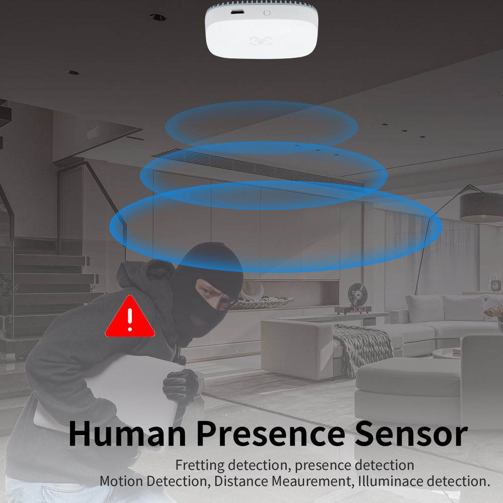 Detektor gerak gerak Zigbee PI - Home Assistant Tuya ulasan dan harga