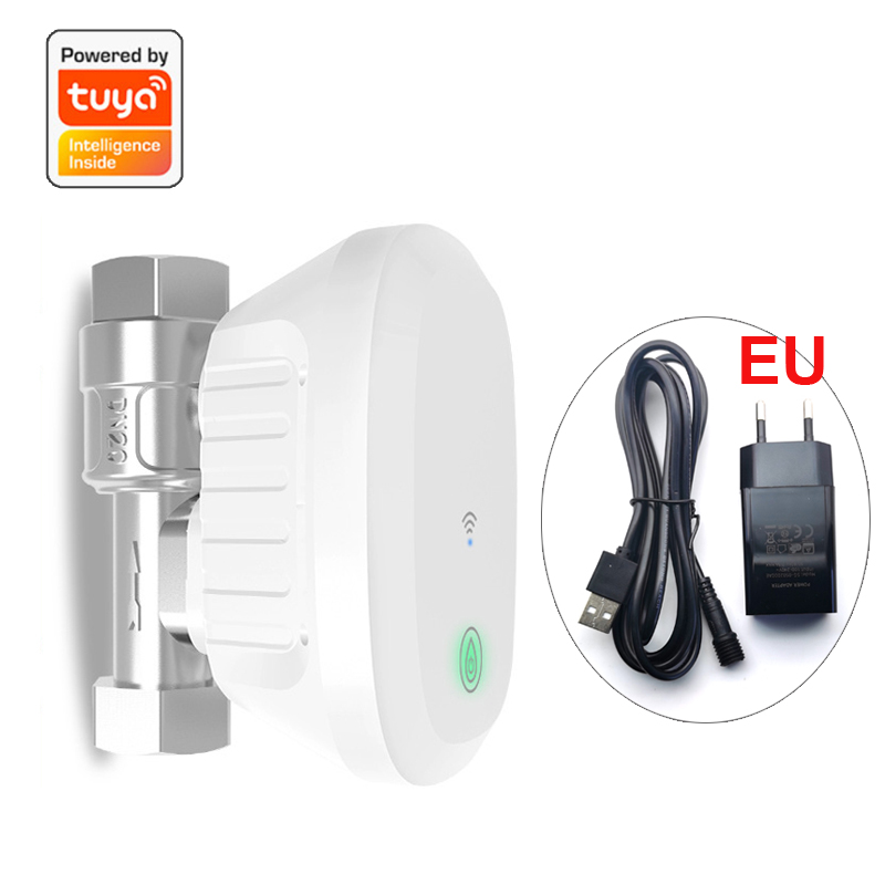 Meteran Katup WiFi Pintar, Pen - Home Assistant Tuya ulasan dan harga