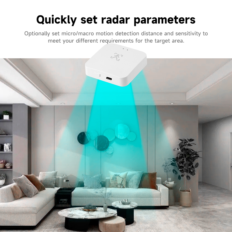 Tuya Smart Life WiFi Detektor  - Home Assistant Tuya ulasan dan harga