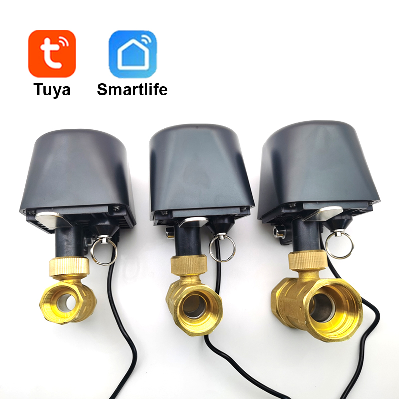 Tuya WiFi atau Zigbee Katup Ai - Home Assistant Tuya ulasan dan harga